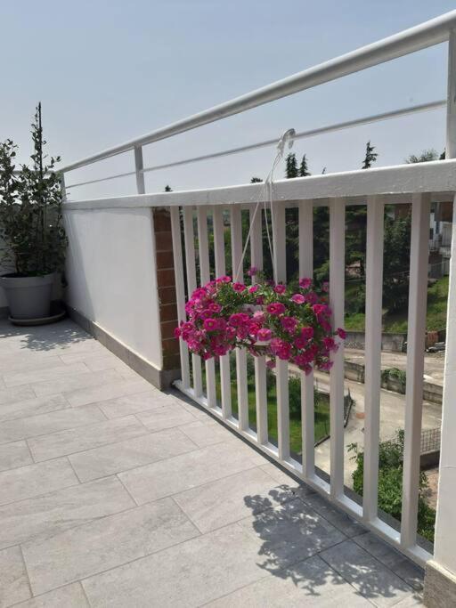 Ferienwohnung Casa Tra I Castelli San Martino Alfieri Exterior foto